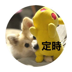 Miya_20200120original