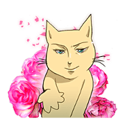 Every day of a funny cat