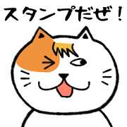 Slightly annoying cat