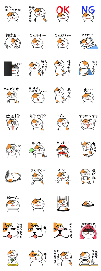 Slightly annoying cat