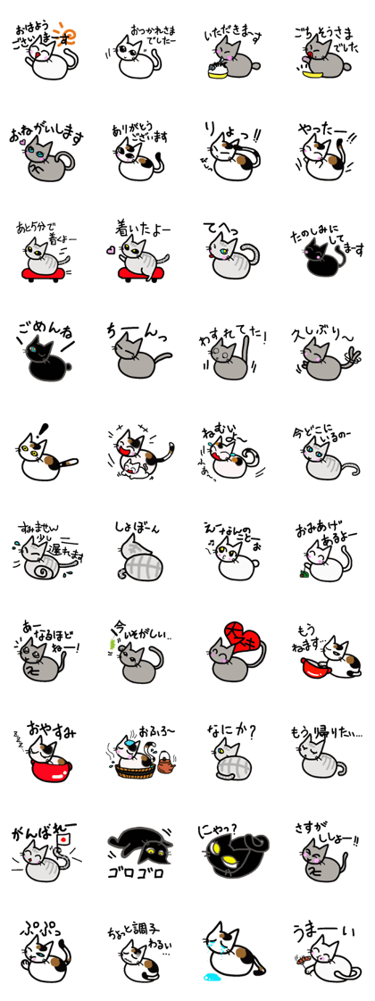 Boring daily round of cat