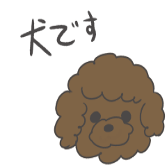 Guu-san Of the toy poodle