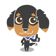 The cute little Dachshund