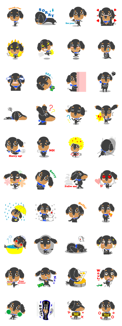 The cute little Dachshund