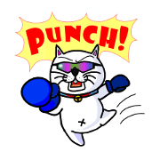 Funny cat and his two friends