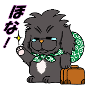 Kansai dialect Pekingese