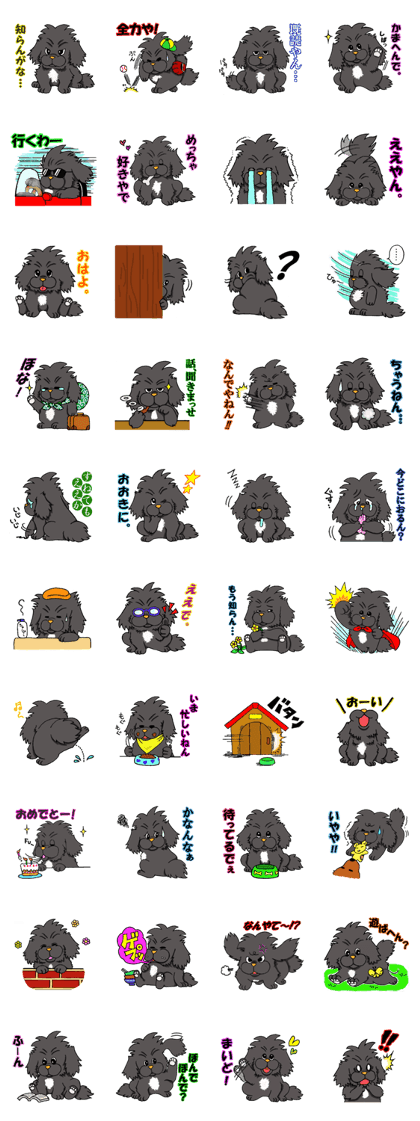 Kansai dialect Pekingese