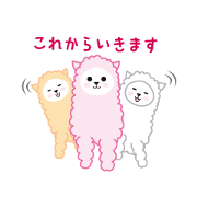 cute alpaca