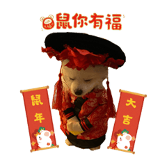 不管是博美還是老鼠，總之新年快樂