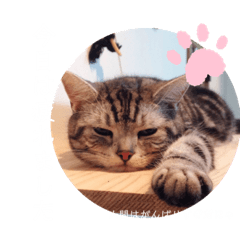 tomomi_20200121175904