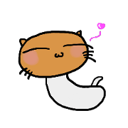 Champignon cat