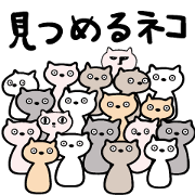 Cats stare