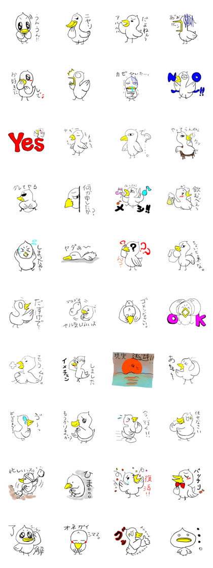 bird's OTOLYE