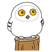 snowy owl