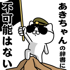 "AKI-CHAN"name/Military cat