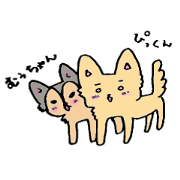 Pikkun and Muuchan The Chihuahuas