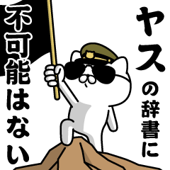 "YASU"name/Military cat