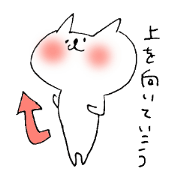 A positive cat