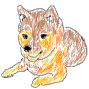 Japanese is dog