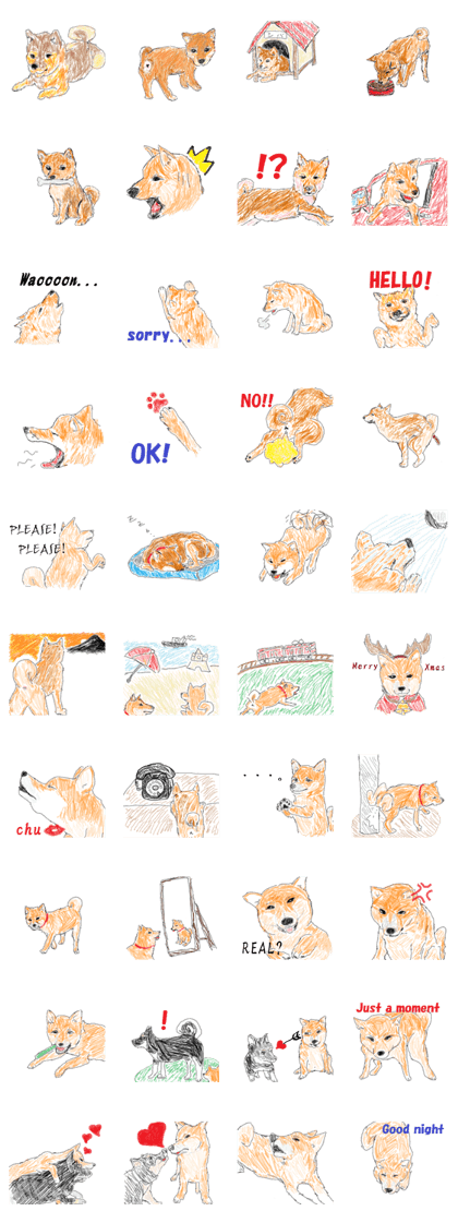 Japanese is dog