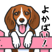 Kawaii Animals (Cute Animals of Kyushu)