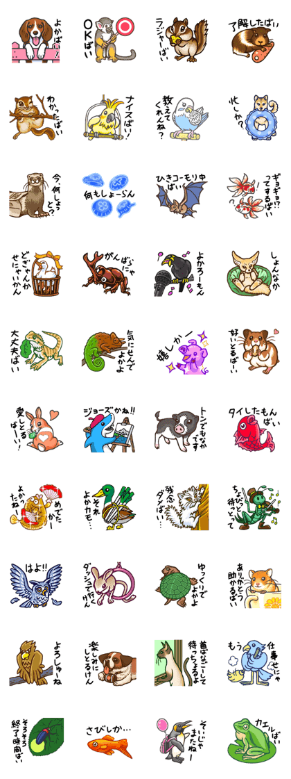 Kawaii Animals (Cute Animals of Kyushu)