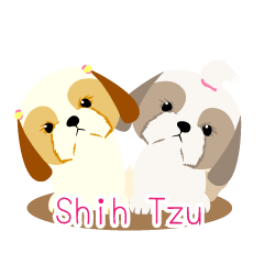 There is no character Shih Tzu
