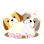 There is no character Shih Tzu