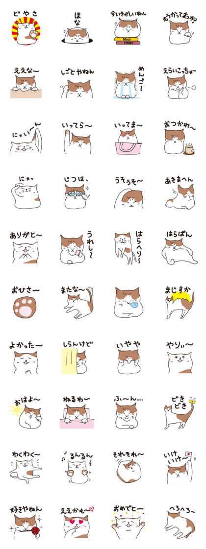 Osaka Cat KU