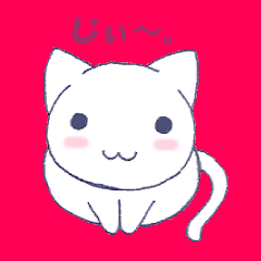I am white cat