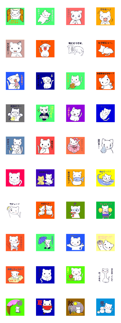 I am white cat