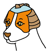Yakusha Dogs & Cats