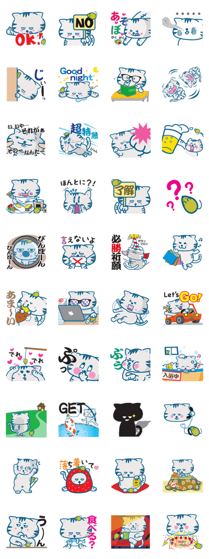 Everyday of the pretty cat and mouse
