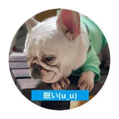 AYUU_20200121214629