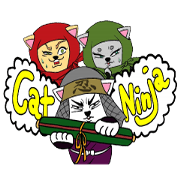 Wow!Cool Ninja Cat!