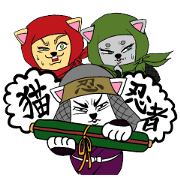 COOL! NINJA CAT