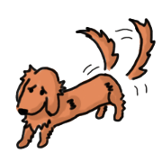 my humanoid dog