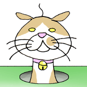 Hole cat