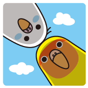 Ham & Qoo's ordinary days