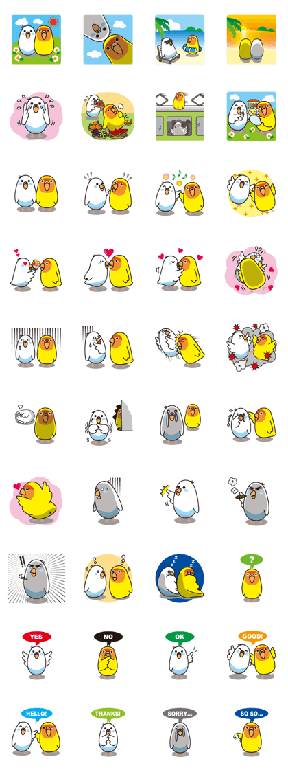 Ham & Qoo's ordinary days