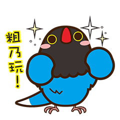 鳥妹愛嘰喳-愛呆丸的台灣藍鵲