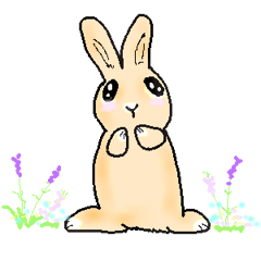 Cute Rabbit  Sticker