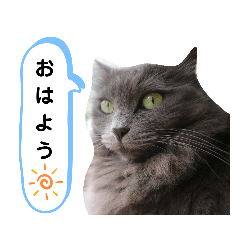 Chisa_20200122093502