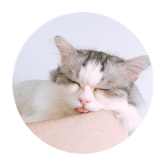 奧嘟嘟酷寶寶part2