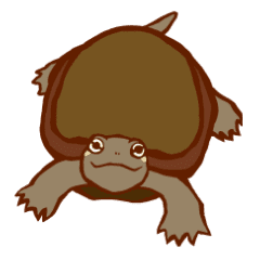 ミドリガメとゼニガメのスタンプ Line スタンプ Line Store ミドリガメとゼニガメのスタンプ Line スタンプ Line Store