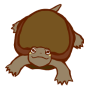 Terrapins Sticker