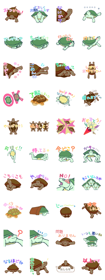Terrapins Sticker