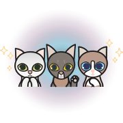 moumi and friends 2