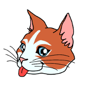 Matatabby of the cat