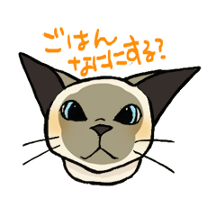 Daily conversation by kitty 'Tori-chan'